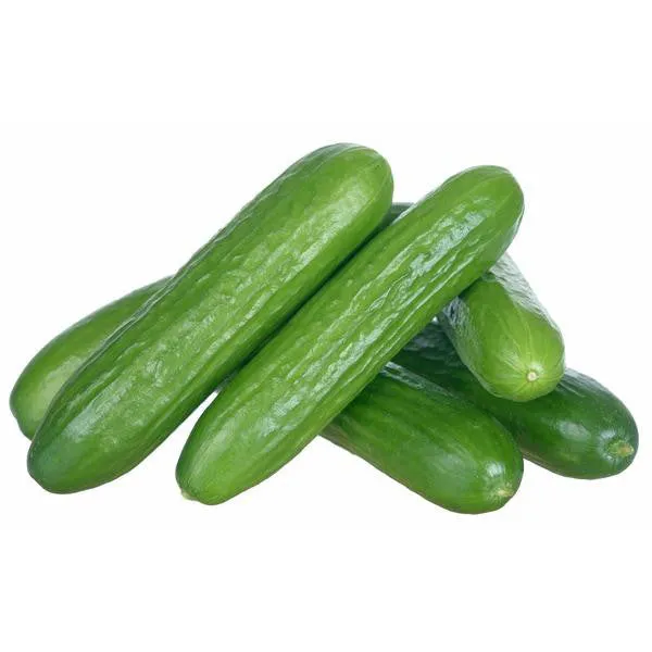 Mini Cucumber - each
